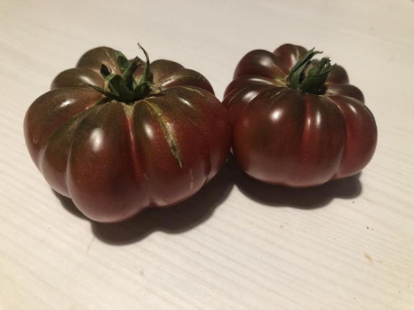 BIO-Pflanze Fleisch-Tomate Cherokee Purple Alte Tomatensorte