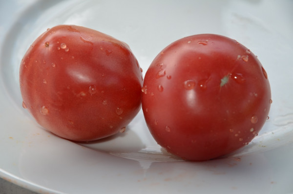 BIO-Samen Tomate Fleisch- Malinowje Wikonte