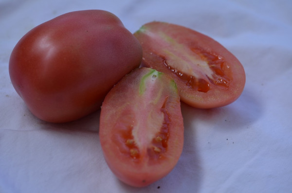 BIO-Samen Tomate Fleisch- Ukrainskaja Gruschna