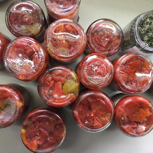 BIO-Tomatenpflanzen Soßen- und Suppentomaten Paket