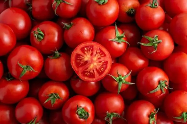 BIO-Pflanze Runde Stabtomate 'Russisches Äpfelchen'