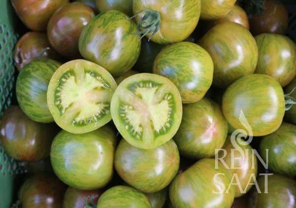 BIO-Pflanze Runde Stabtomate 'Kalypso'