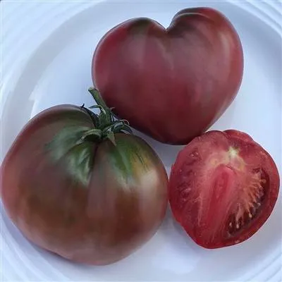 BIO-Saatgut Dwarftomate Fleisch 'Purple Heart'