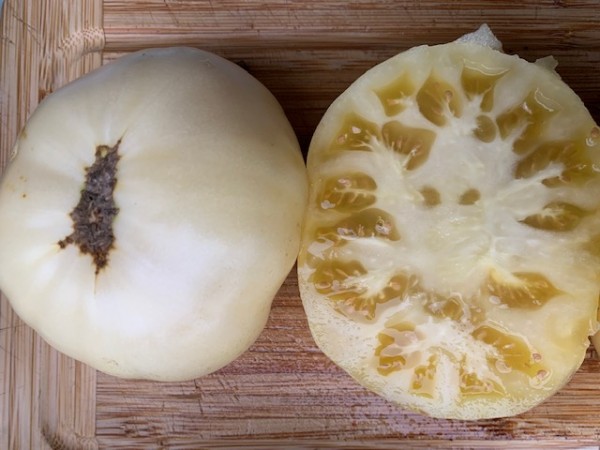 BIO-Saatgut Fleischtomate 'White Queen'
