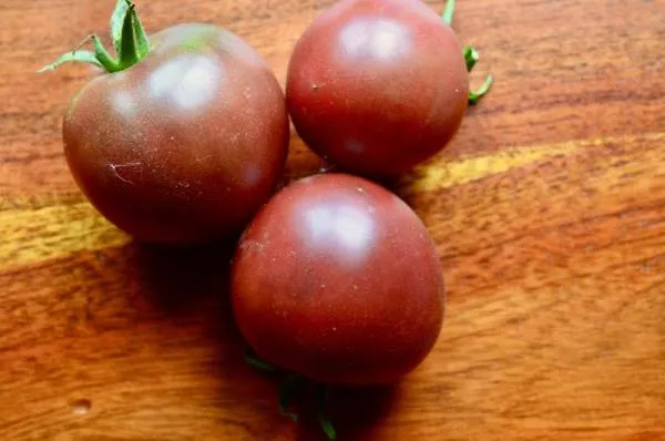 BIO-Saatgut Kirschtomate 'Weinbergtomate'
