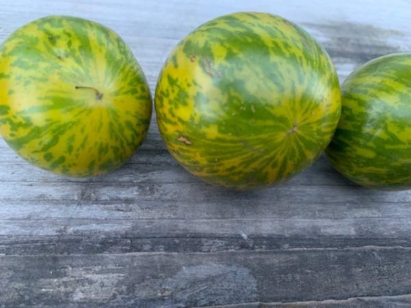 BIO-Saatgut Fleischtomate 'Glacial Zebra'