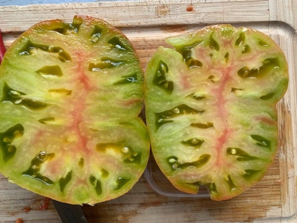 BIO-Saatgut Fleischtomate 'Captain Lucky'