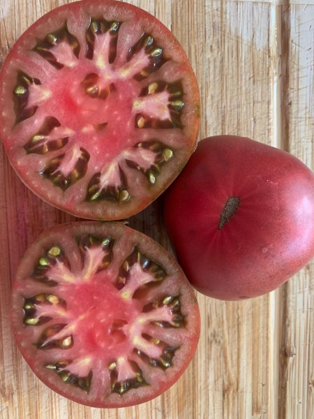 BIO-Saatgut Dwarftomate Fleisch 'Pierce's Pride'