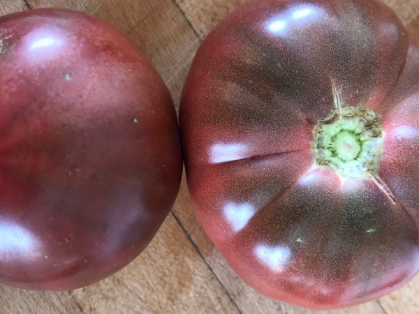 BIO-Saatgut Fleischtomate 'Lila Sari'