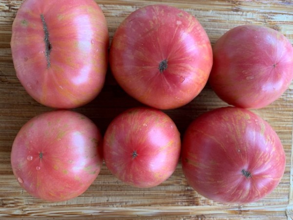 BIO-Saatgut Fleischtomate 'Lover's Lunch'