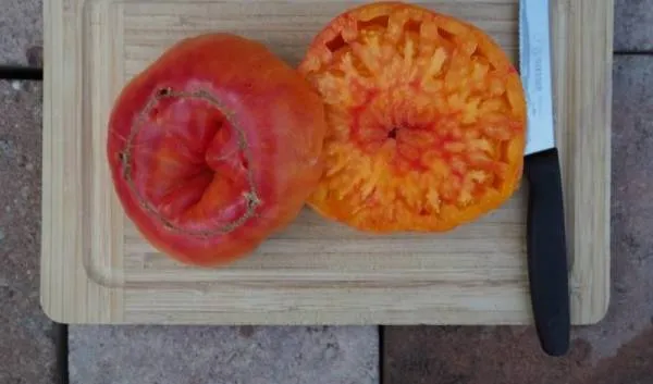 BIO-Saatgut Fleischtomate 'Mary Robinson Bicolor'