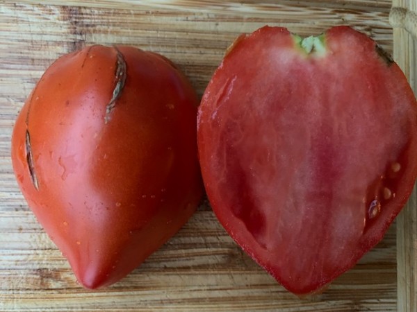 BIO-Saatgut Fleischtomate 'Orlinoye Serdtse'
