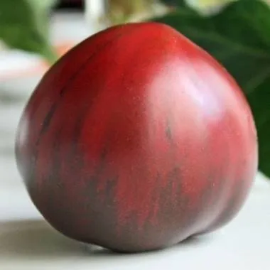 BIO-Saatgut Fleischtomate 'Red Ocean'