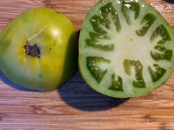 BIO-Tomatenpflanze 'Emeraude' Alte Fleisch-Tomatensorte