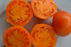 BIO-Samen Tomate Fleisch- Persimmon
