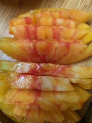 BIO-Samen Tomate Fleisch- 'Tuxhorn's Red&Yellow' Ananastomate