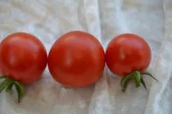 BIO-Samen Tomate Kirsch- Schmatzefein