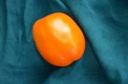 BIO-Pflanze Fleischtomate 'Kaki Coing'