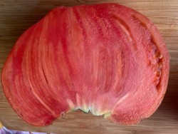 BIO-Saatgut Fleischtomate 'Krasnyy Grebeshok'