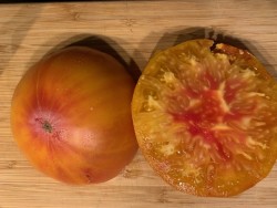 BIO-Saatgut Fleischtomate 'Grandma Viney's Yellowpink'