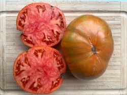 BIO-Tomatenpflanze 'Don's Double Delight' Gourmet-Fleischtomate